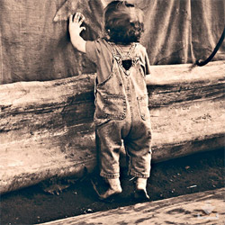 自动攻击网站工具下载